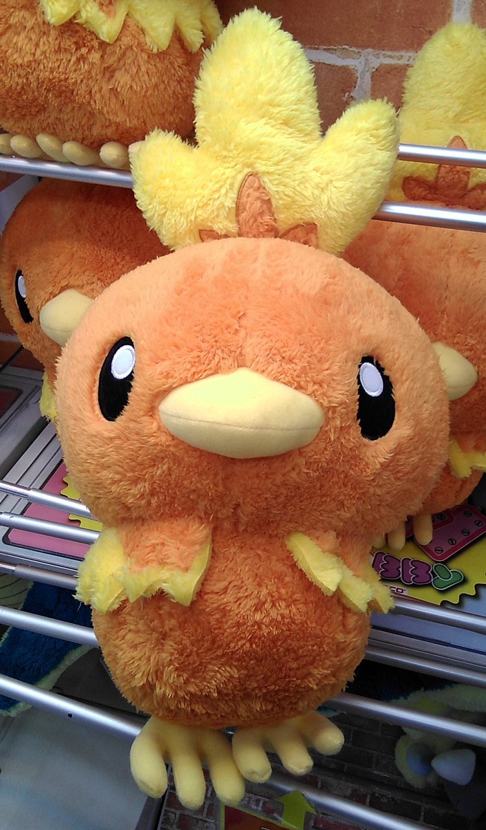ポケットモンスターのアチャモの大きなぬいぐるみが入荷しました
