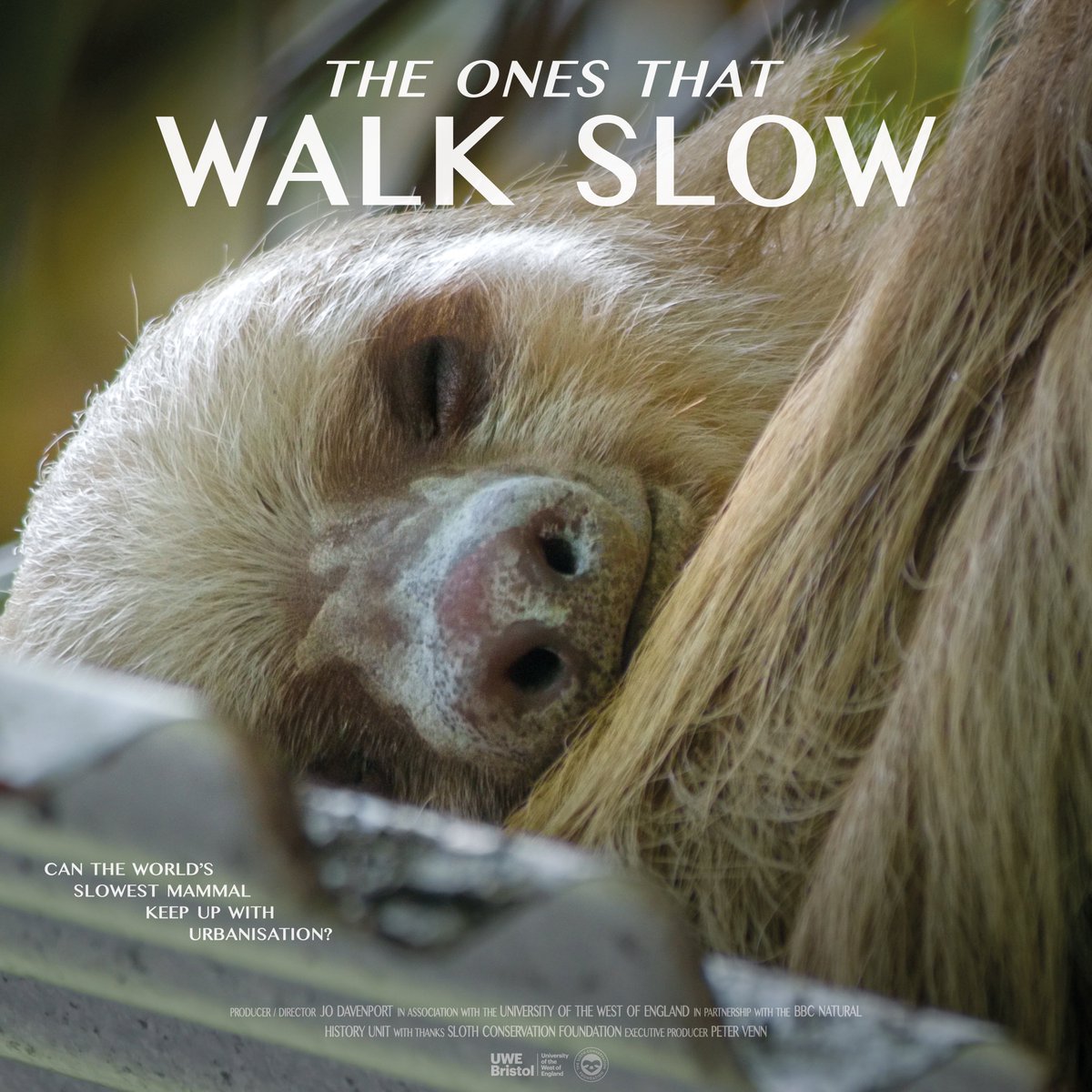 Girls Who Click tweet media