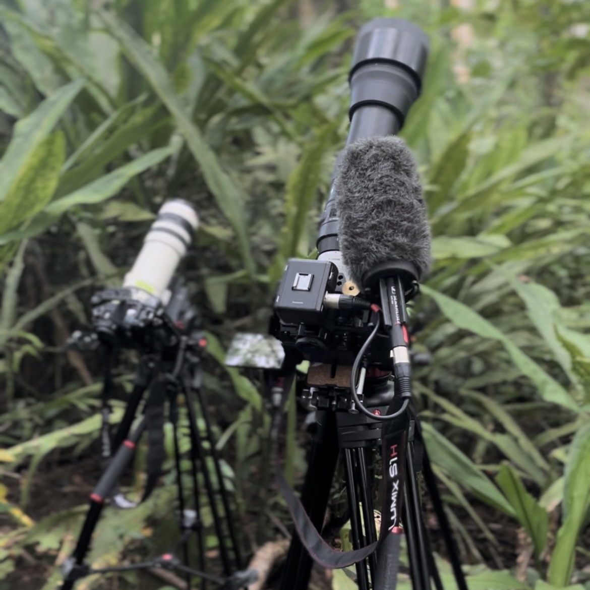 Girls Who Click tweet media