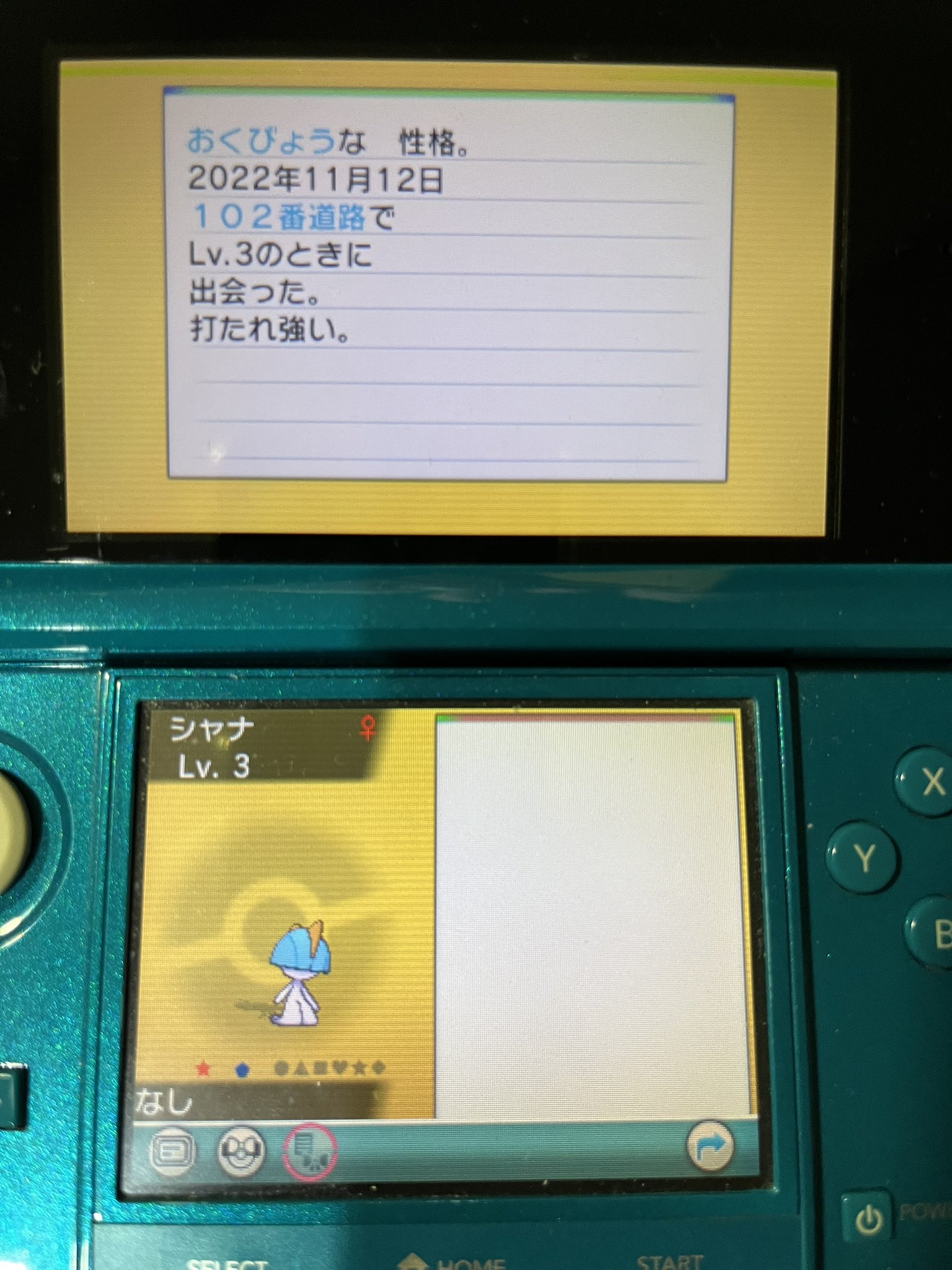 ポケモンoras Twitter Search Twitter