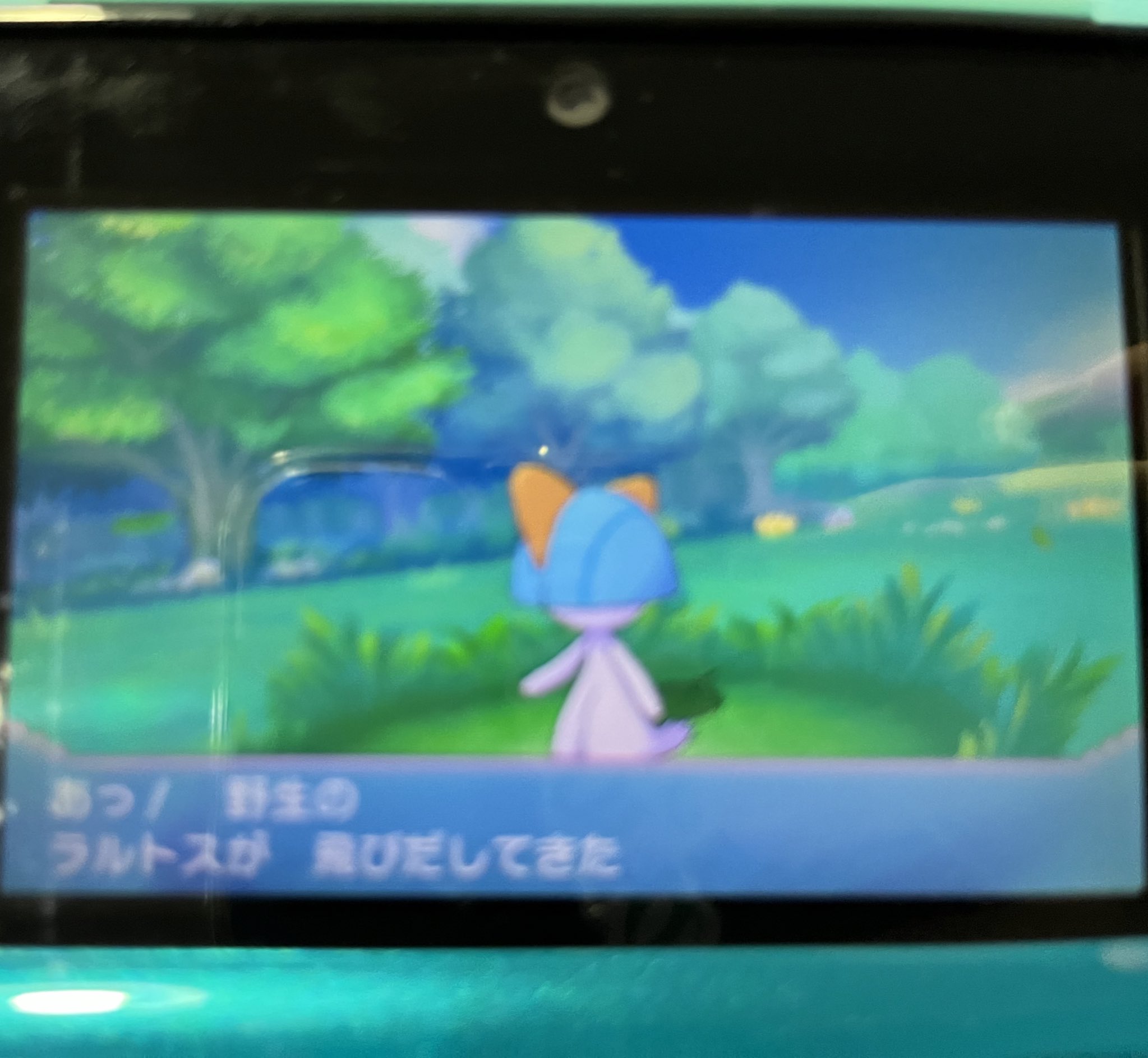 ぽぴい Oras色旅始めます Boc1915 Twitter