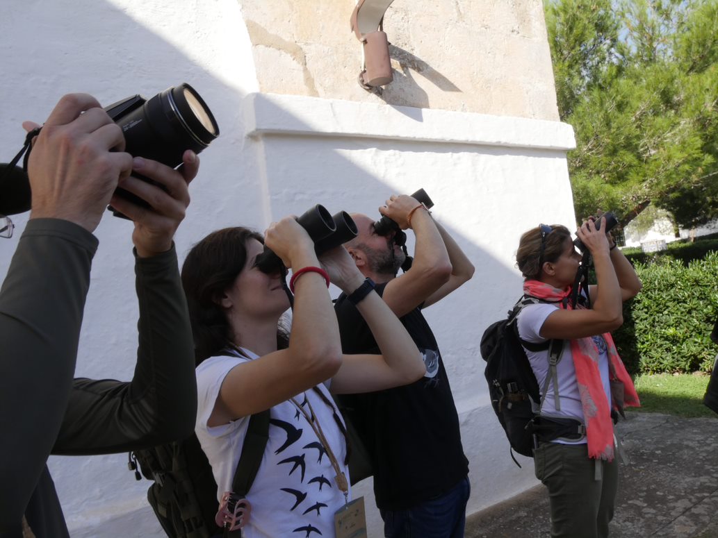 SEO/BirdLife tweet media
