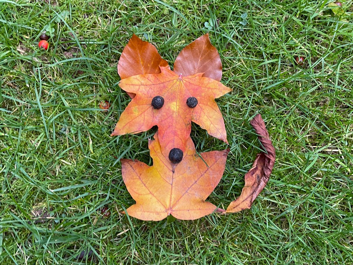 Good morning from yesterday's leaf fox (horse chestnut, beech and maple) #FletchersFourSeasons #FletcherAndTheFallingLeaves #NatureArt #LeafArt