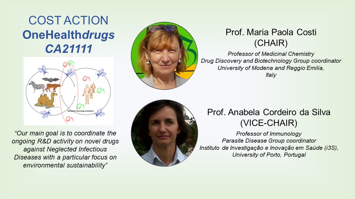 1Healthdrugs_ca's tweet image. Meet our Chair @MariaPaolaCosti @UNIMORE_univ and Vice-Chair @AnabelaCordeir5 @i3S_UPorto! Stay tuned following @1Healthdrugs_ca!
#MedChem #parasite #NIDs #enviromental #sustainability #drugs