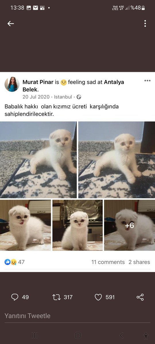 Taşıma suyuyla değirmen dönmez biz bari dernek kuralım gelsin paralar 🤣