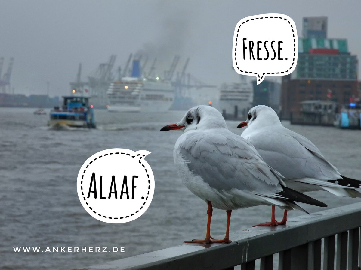 Same procedure as every year. 🥳