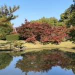 ツイートに含まれる画像