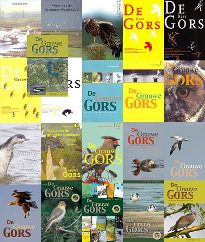 De redactie van De Grauwe Gors is druk doende met het 50e jubileumnummer. Wanneer u (lid of geen lid) nog een artikel over vogels in Groningen op de plank hebt liggen schroom dan niet om het bij de redactie aan te bieden:
redactie@avifaunagroningen.nl
<a href="/Sovon/">Sovon Vogelonderzoek Nederland</a> <a href="/ivngronharen/">IVN Groningen-Haren</a>