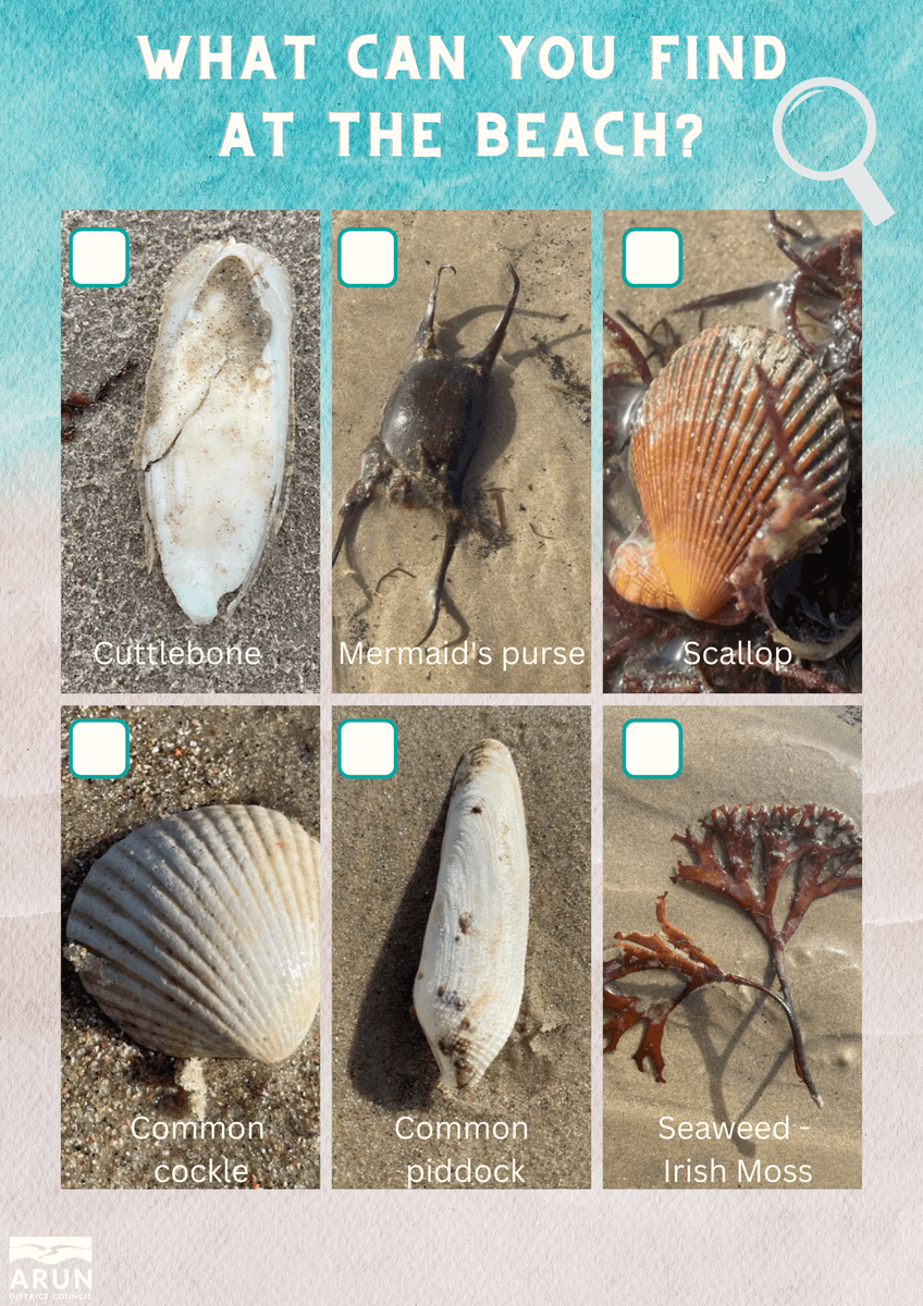 ArunDistrict's tweet photo. Make the most of this nice weather we're expecting and head to the beach and see what you can find. 🐚🪸

Download our scavenger hunt sheet and see if you can tick off all six items https://t.co/gq5RcdzwCs https://t.co/y6EoRSY7V9
