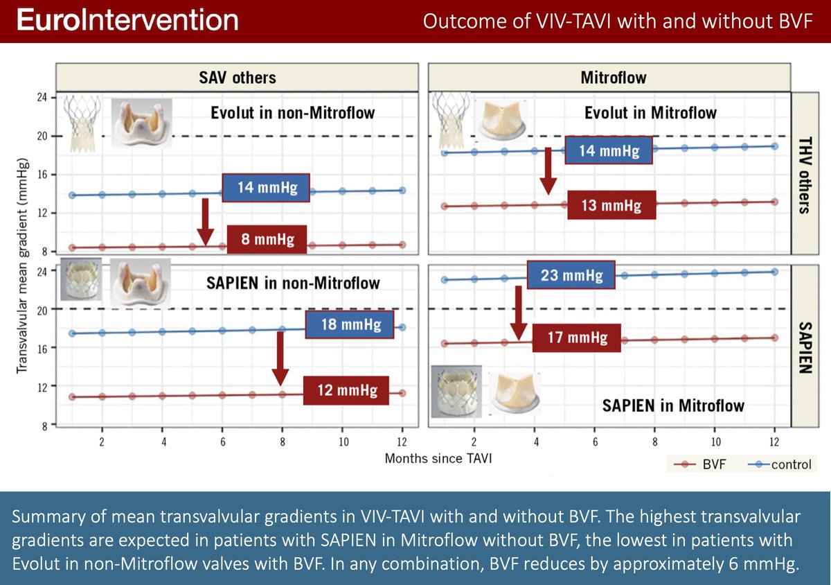 EuroIntervention (@eurointerventio) on Twitter photo In this study of patients with valve failure, VIV-TAVI in conjunction with bioprosthetic valve fracture resulted in a significantly lower gradient compared to VIV-TAVI alone. #EIJBestOf #TAVI <a href="/ChrisBrinkm/">Christina Brinkmann</a> eurointervention.pcronline.com/article/outcom… In this study of patients with valve failure, VIV-TAVI in conjunction with bioprosthetic valve fracture resulted in a significantly lower gradient compared to VIV-TAVI alone. #EIJBestOf #TAVI <a href="/ChrisBrinkm/">Christina Brinkmann</a> eurointervention.pcronline.com/article/outcom…