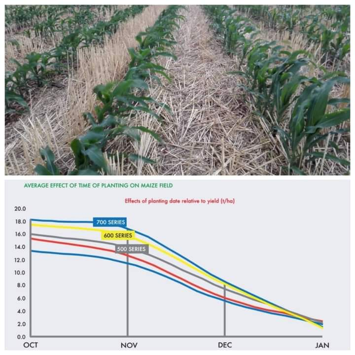 Crop Doctor/Agronomy Consultant tweet media