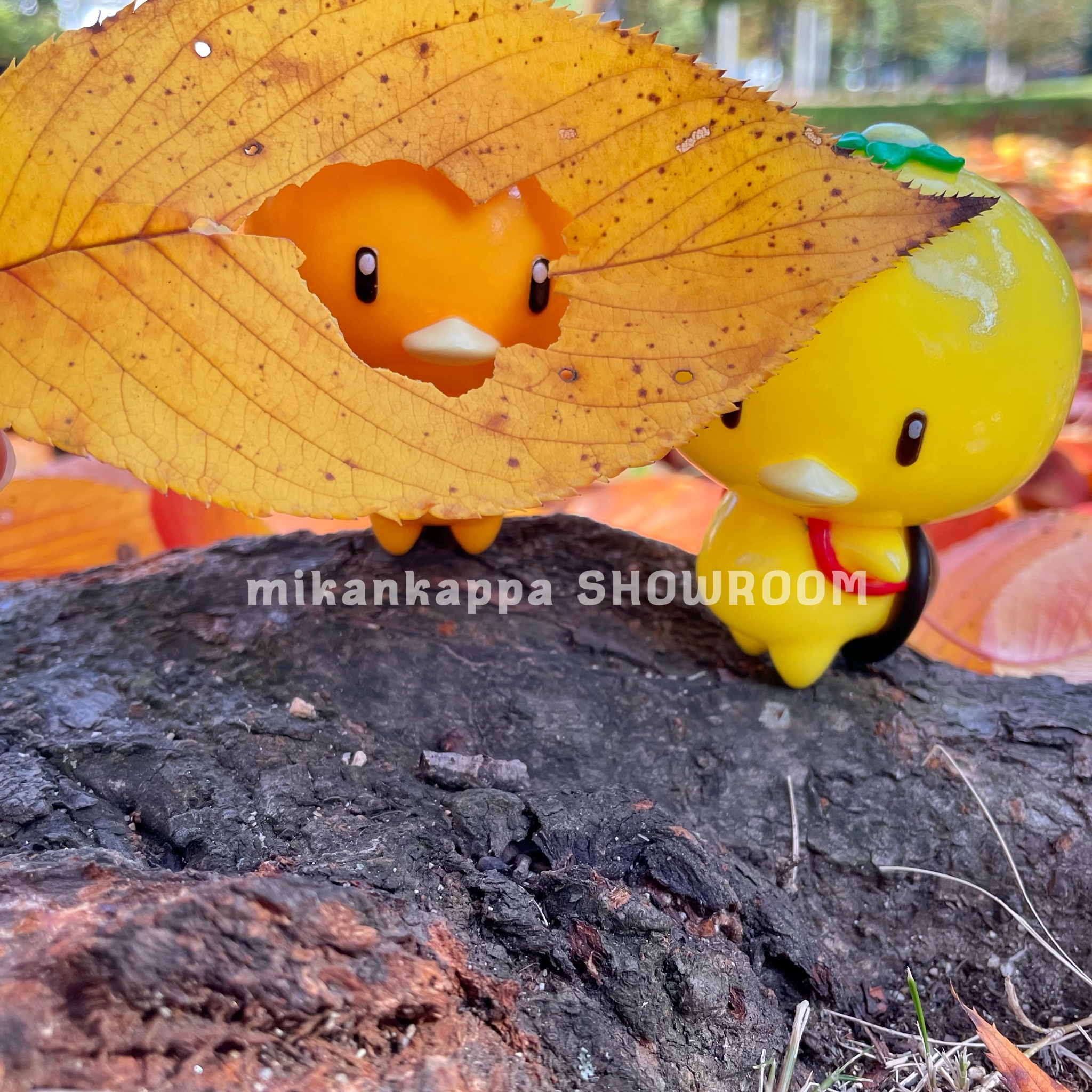 みかんかっぱ 公式 Mikankappa Twitter