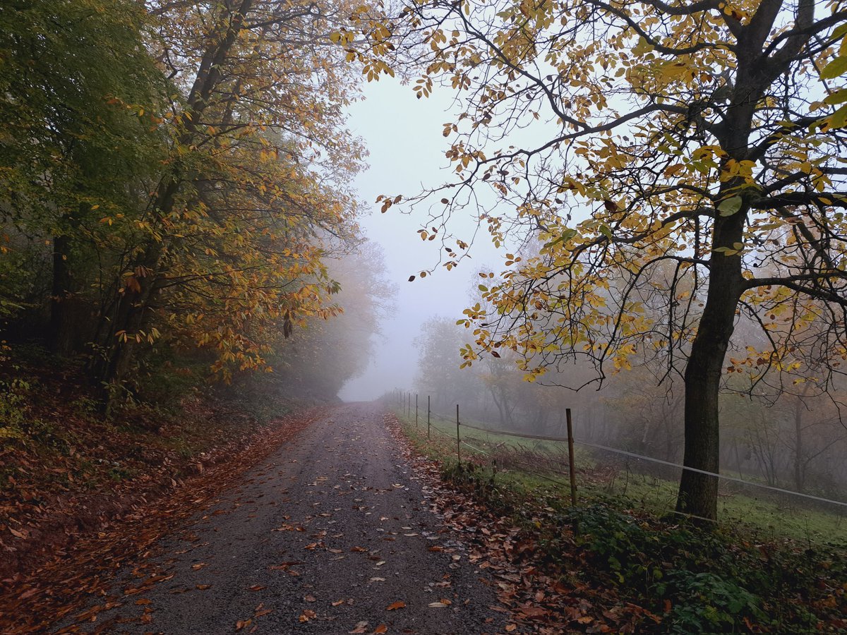 AtlanticLover65's tweet photo. When you have a painting class on Sunday so you go for your weekendhikey on Saturday no matter the weather #Peakerlife #MyPeakChallenge #Walkingpeakers #Germanpeakers https://t.co/SGVLD0039p