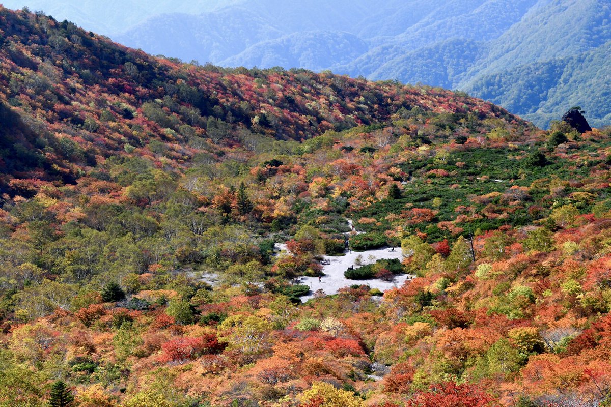 JapaTabi_com's tweet photo. 🍁姥ヶ平 / Ubaga-Daira🍁
栃木県那須町の茶臼岳は、日本百名山の一座で関東を代表する紅葉の名所と言えます。
「姥ヶ平」は秋になると一面が紅く染まります

*撮影場所：#姥ヶ平 #UbagaDaira
  #リゾートホテルラフォーレ那須 から那須ロープウェイ乗り場まで車で19分
*URL：https://t.co/tZJDmEdff2 https://t.co/ZzAHuCx0sx