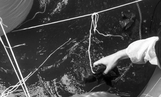 Removing phosphorous to control algal blooms: Can microorganisms help us repair the world? (Issue #0 of Atelier Luma's new journal) indd.adobe.com/view/c6bbe124-…