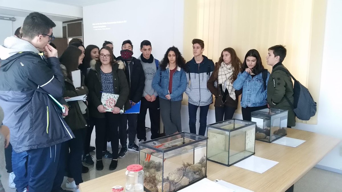 Ajuntament de Blanes tweet media