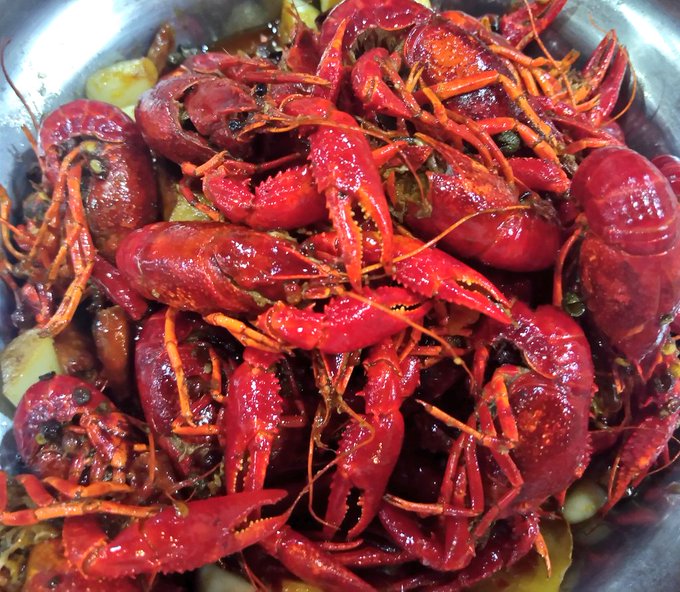 ザリガニ食べました!
すごく美味しかったです😋 