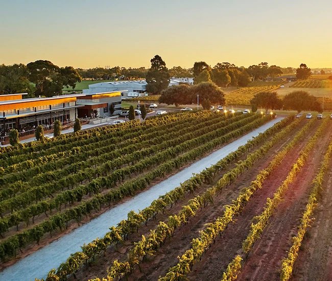 WestAustralia's tweet photo. Our capital city @DestPERTH has made @Forbes Best 23 Places To Travel in 2023, thanks to a laid-back vibe and life centered around the water, urban @TheSwanValley vineyards and wondrous @RottnestIsland ๐๐ซ
#WAtheDreamState
https://t.co/yezpV9lWwS https://t.co/W4JcKJEWJ2