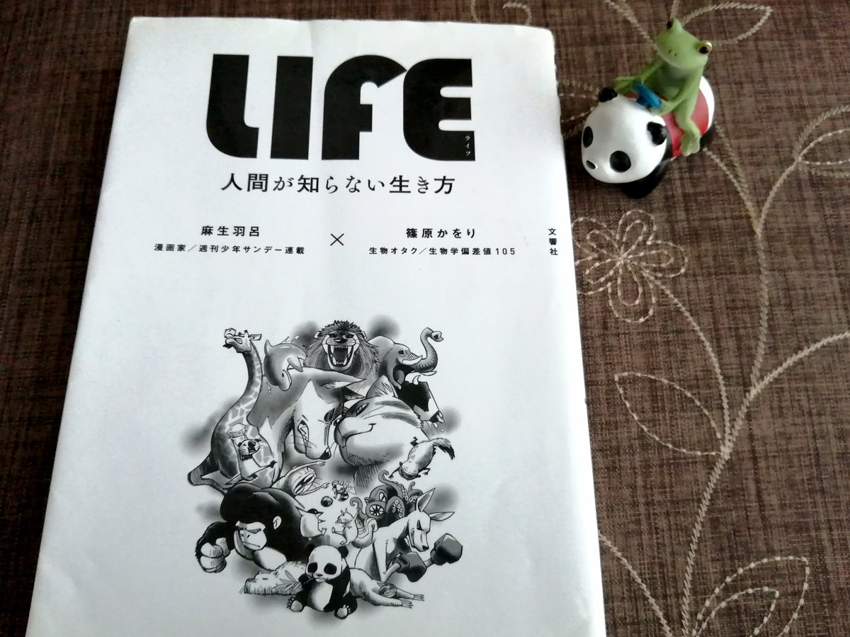 Miyukichi Door 2 Freedom Twitter