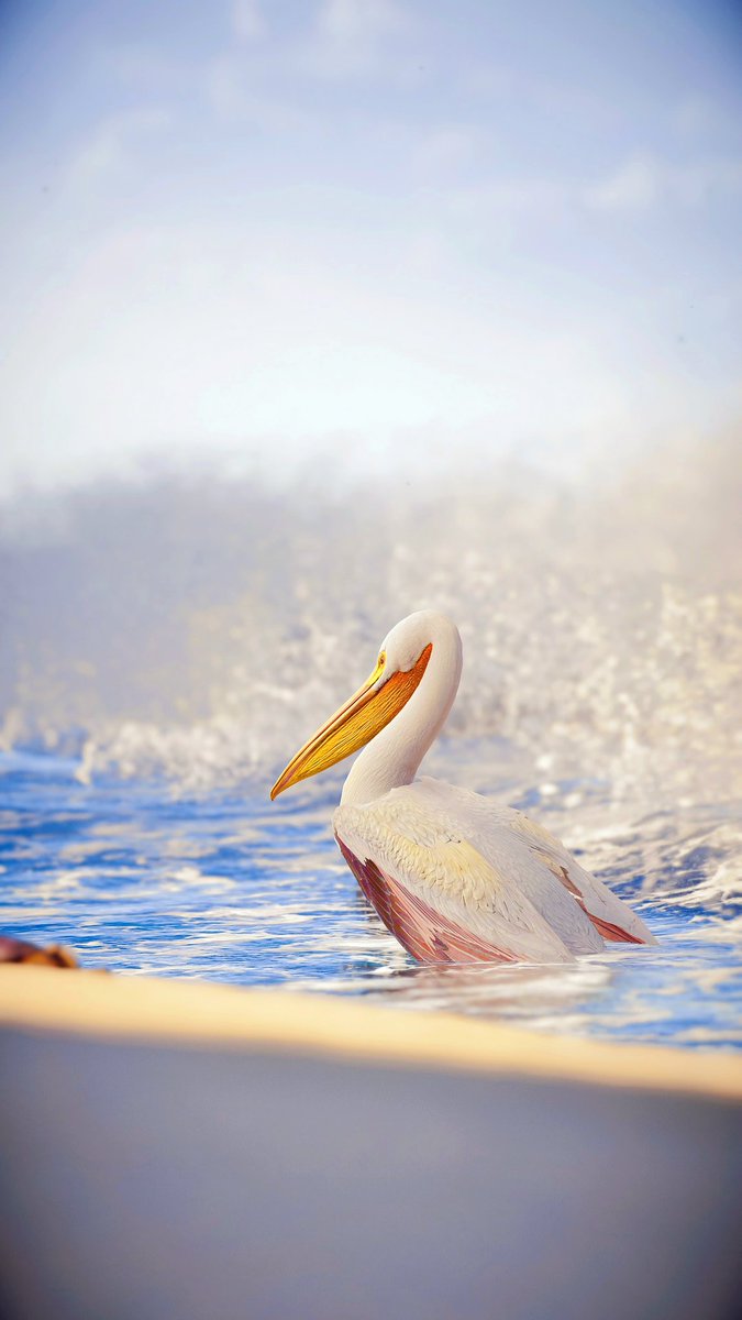 KENG _ IN GAME PHOTO . 📸 🖼 🇹🇭 tweet media