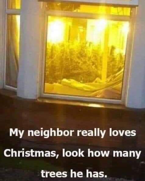 N0TINSERVICE's tweet photo. It's way too early to have the tree up 😒 https://t.co/I5k0Wp3poj
