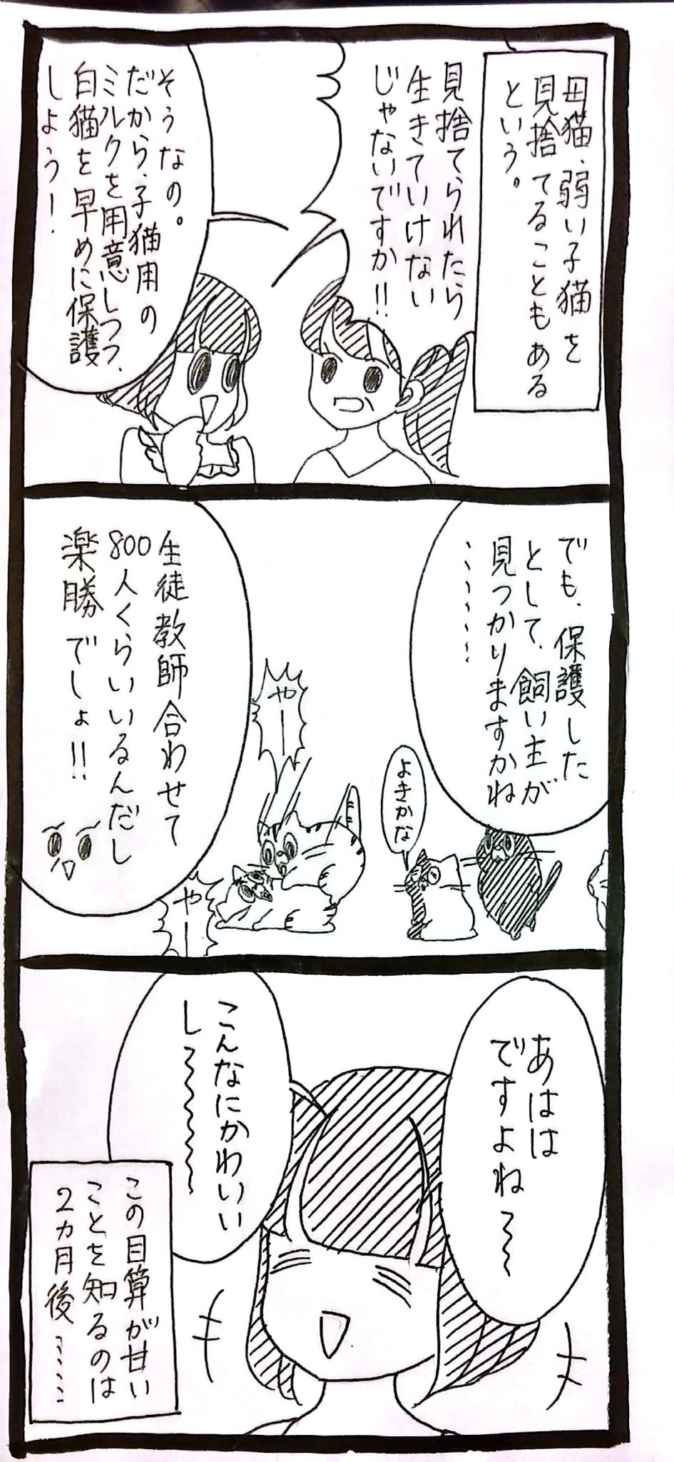 うさぎのみみちゃん 原宿アルタ12 17 18 Pa Twitter ﾈｺﾁｬﾝとの出会い24 T Co 8aeisoba Twitter