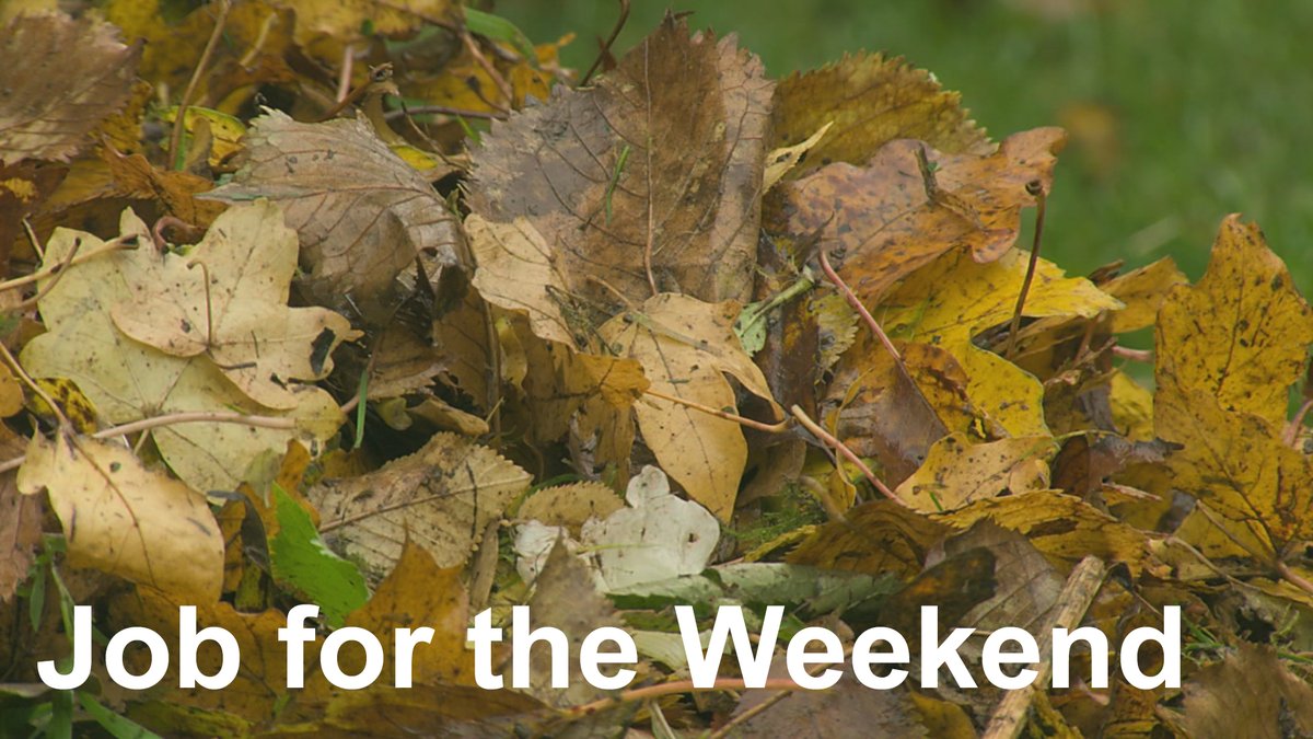 BBC Gardeners World tweet media