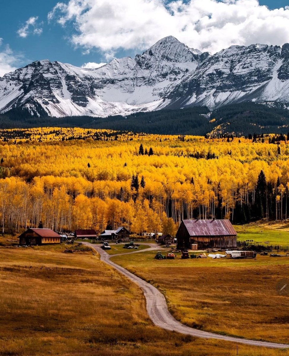 A wonderful good morning to all my Twitter friends and hope, you had a great Friday. Have a wonderful Saturday, take care and stay safe 🙏. Martina from Germany #usa