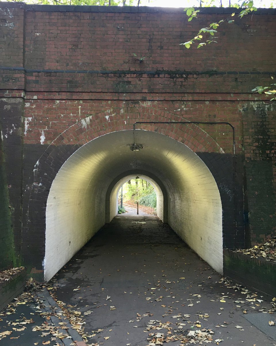 Sian Storey Art tweet media