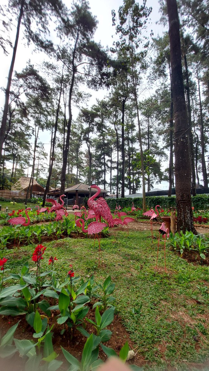 banyak_dosaa's tweet photo. @tanyakanrl Samsung A71 https://t.co/AL3HeTELVj