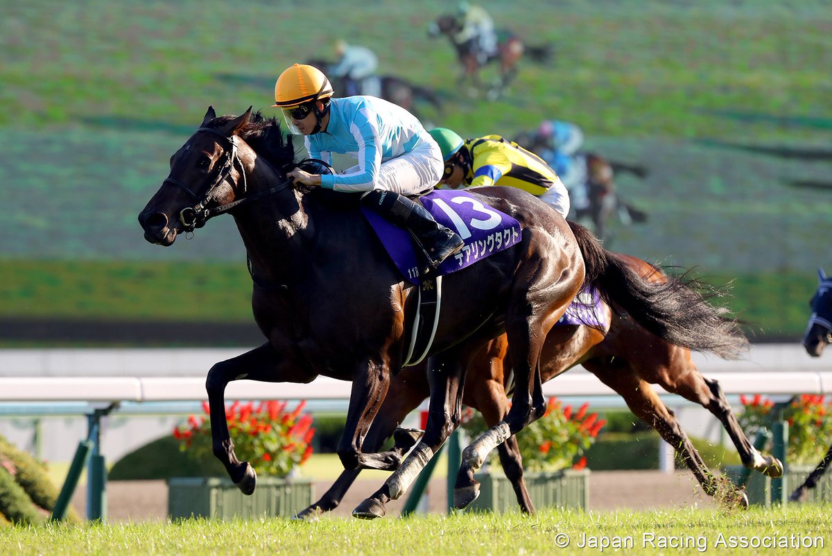 HorseRacing_JPN's tweet photo. #JRA Queen Elizabeth II Cup (G1, 15:40, Nov. 13) https://t.co/6PMgVtrq1N
Barrier Draw https://t.co/4vHByowZsn
https://t.co/6bCZmweGAO 
Preview https://t.co/7XCEY9r5Jb
Comments https://t.co/FK1FRk2P7C
Data Analysis https://t.co/MrPkJWOY5g
#HorseRacing #Japanese #japan https://t.co/f1bIlH3793