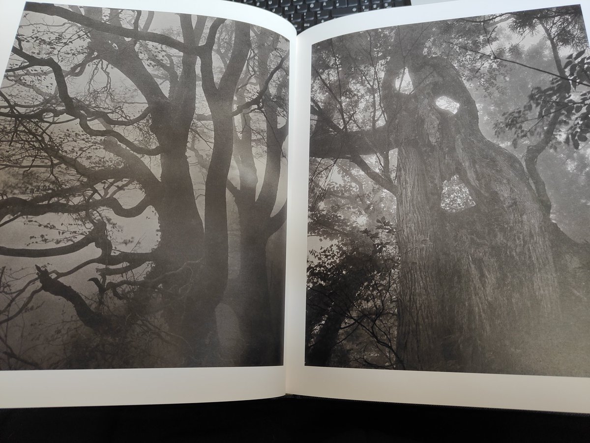 aw_landscapes's tweet photo. Next to Jem Southam's Four Winters this one is probably my favourite photo book release of the year.
#photobook #photobooks #takeshishikama #contemplativephotography https://t.co/BhZW9fdofG