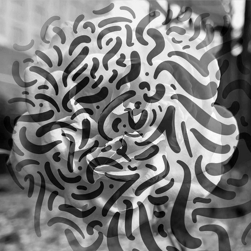 Turbulent Determinism tweet media