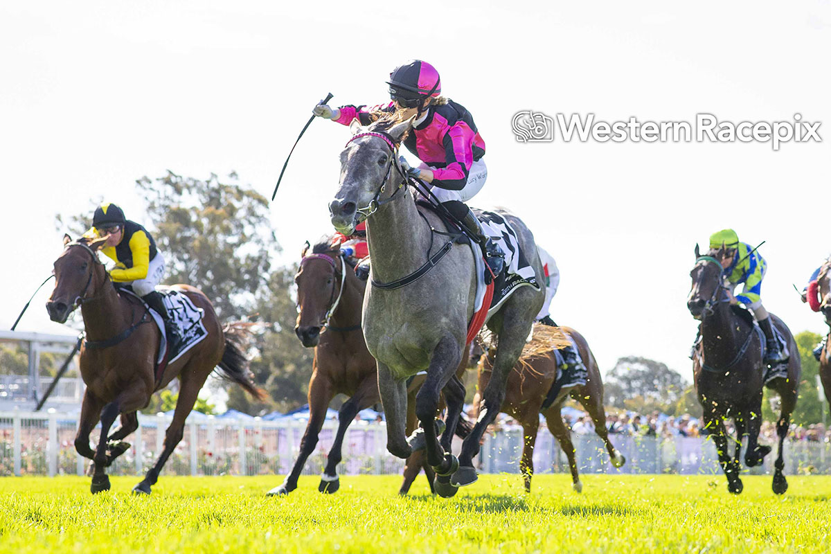 WesternRacepix's tweet photo. ADMIRATION EXPRESS - 2022 Euroz Hartleys WA Champion Fillies Stakes (Group 3) @PerthRacing #WesternRacepix #ThePinnacles #AscotRacingCarnival

More 📸 https://t.co/XhRFkk00xX https://t.co/Rd9rIJiYgN