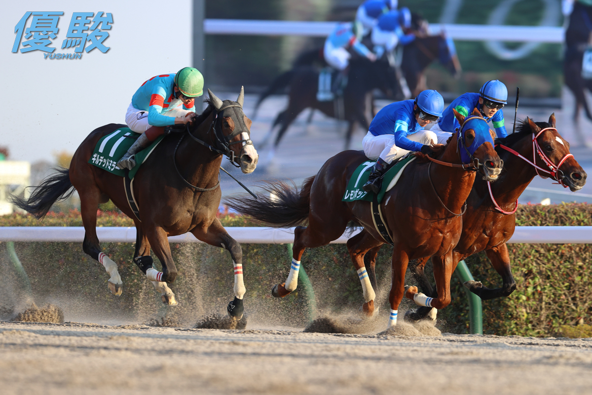 JRA-VANのアプリだと、輸入繁殖牝馬は輸入前と後で馬名表記が異なるから別馬扱いになって、ギルデッドミラーの兄弟にストロングタイタンが表示されてないから分からなかったな。
逆もそうだった。
ここ何とかなんねーかな。