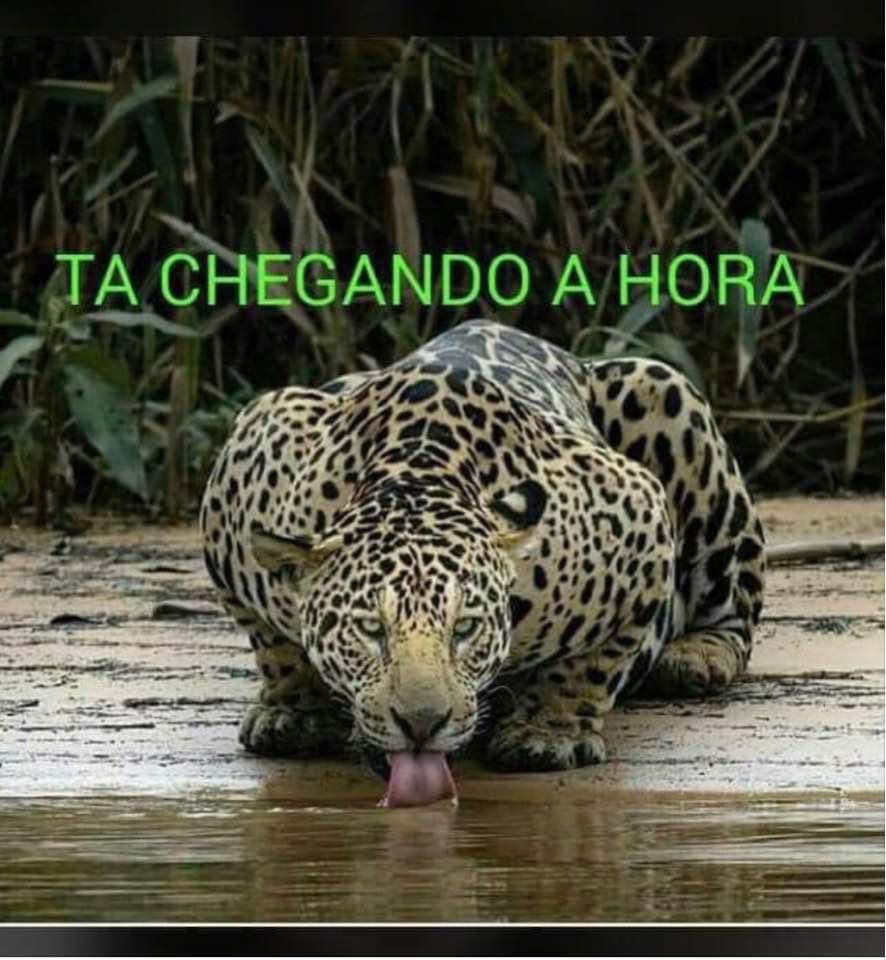 tiago_prado_'s tweet photo. @edvan_fr #SOSFORCASARMADAS #SOSFFA #SOSBrazil #SOSBrasil #SOSMilitares https://t.co/PiKTUrSPvl