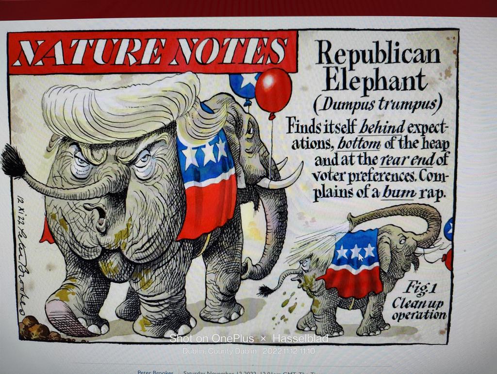 joeter's tweet image. 