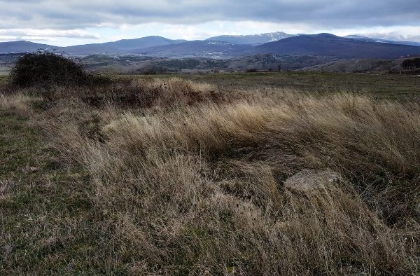 regcantabrorum's tweet photo. El ager #Iuliobrigensium se va 🔒, le pese a quien le pese..los últimos estudios arqueológicos en #Camesa, la 'no' publicación de georradares en #Retortillo (no hay más donde rascar salvo alguna casa indígena 🛖)..todo lleva a #Iuliobriga, a la de verdad https://t.co/Gbmgup5m9o https://t.co/PRranSezNT