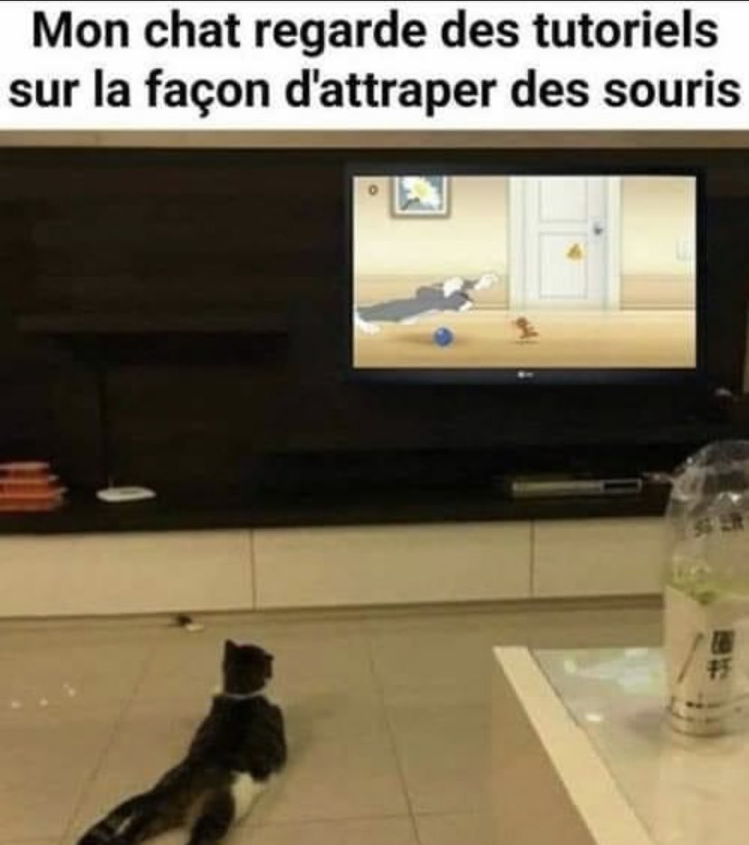 🤗🌺🙋🏻‍♀️ tweet media