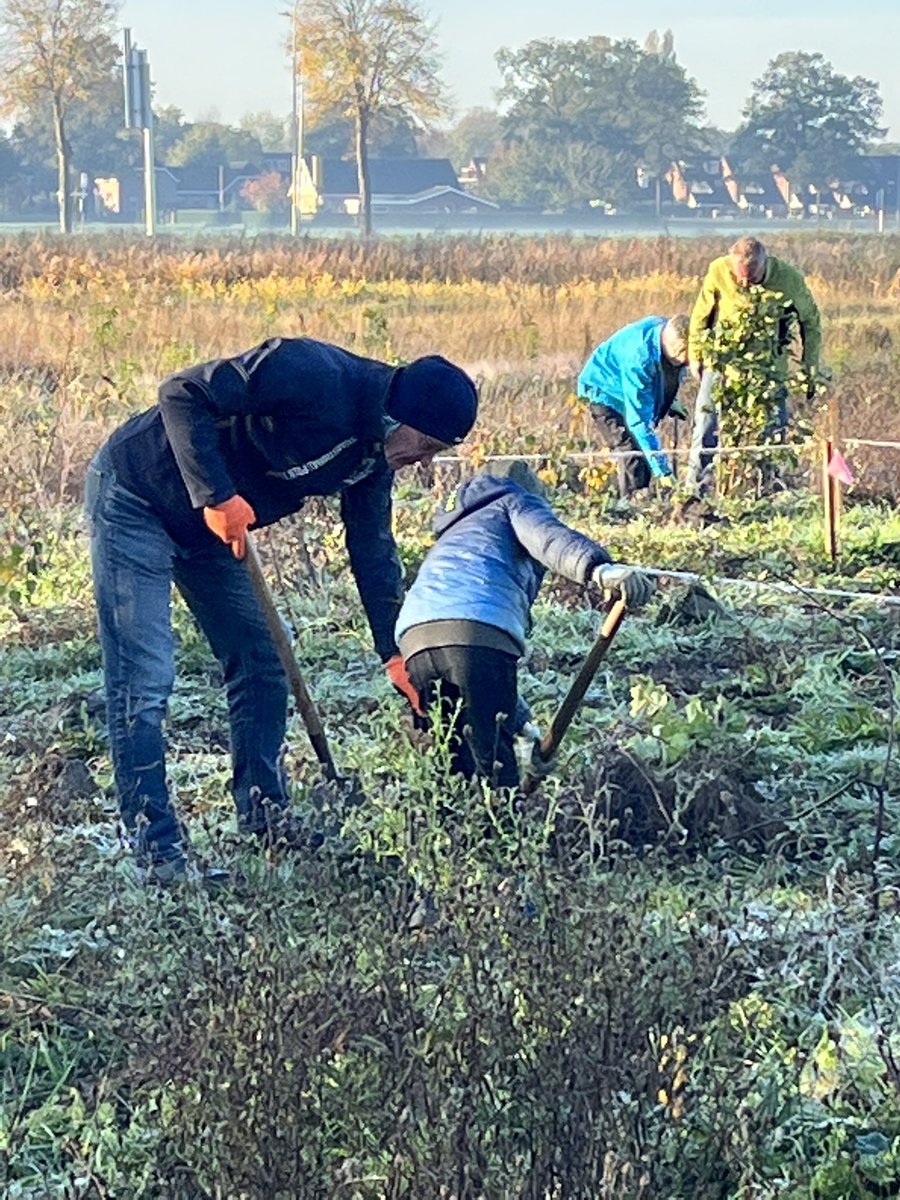Vandaag zo ongeveer de laatste fase van de aanleg van ons pareltje aan de Laarstraat in Duiven. Het aanplanten van honderden fruitbomen en struiken. Geleverd door Venhorst. Natuurlijk weer met ondersteuning van Seegers grondverzet, <a href="/GemeenteDuiven/">Gemeente Duiven</a> en <a href="/SLGelderland/">Stichting Landschapsbeheer Gelderland</a> <a href="/DuivenBeleven/">Even Duiven Beleven</a>