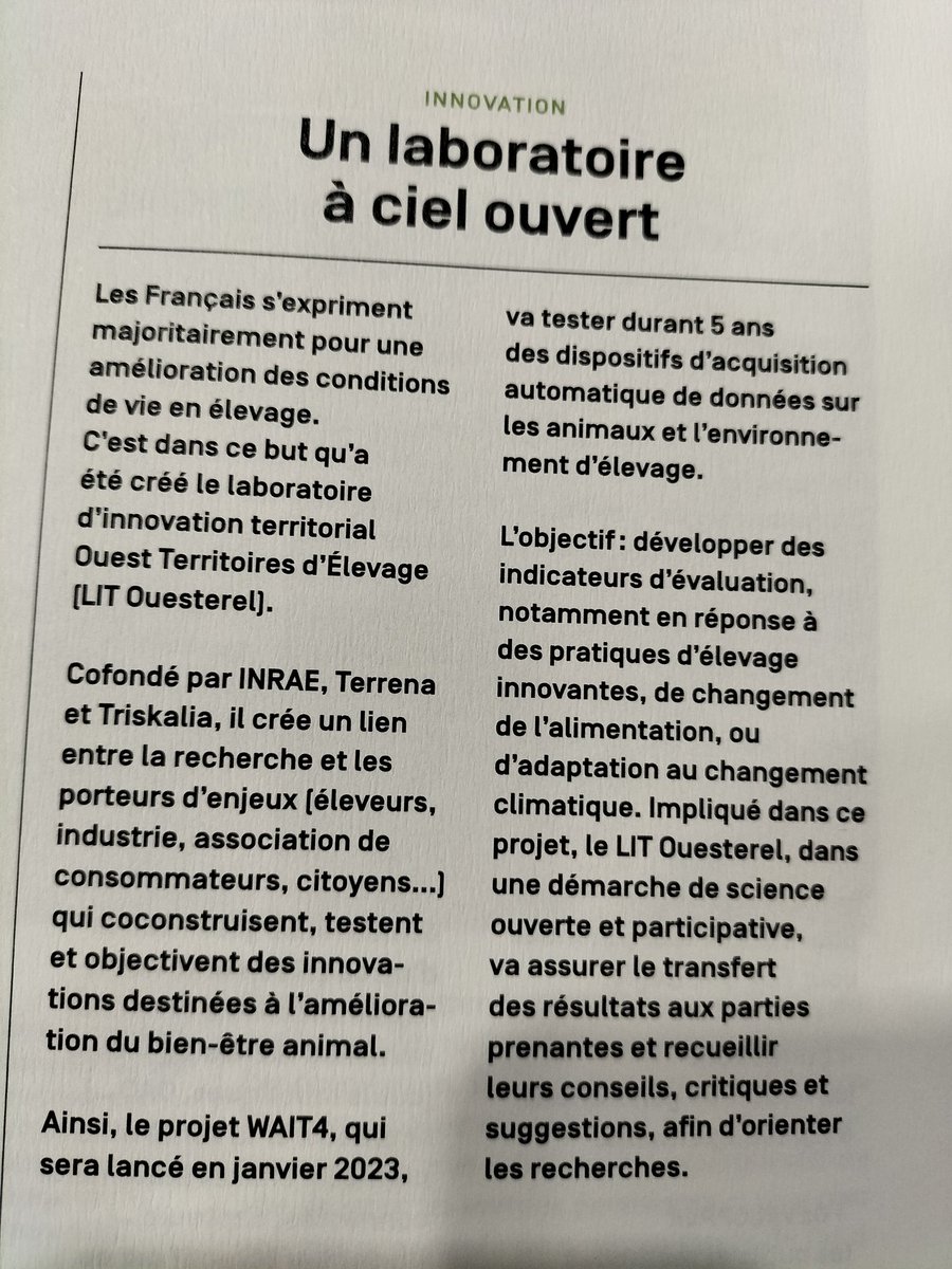 FlorenceGondret's tweet photo. Extrait du prochain magazine #Ressources d'Inrae. Le projet WAIT4 coordonné par #Umr_Pegase réunit 50 scientifiques pour mesurer le bien-être animal et améliorer les pratiques d'élevage. Un projet piloté par le PEPR Agroécologie et Numérique.@INRAE_DPT_PHASE @INRAE_BzhNdie https://t.co/a3rkQonv5D