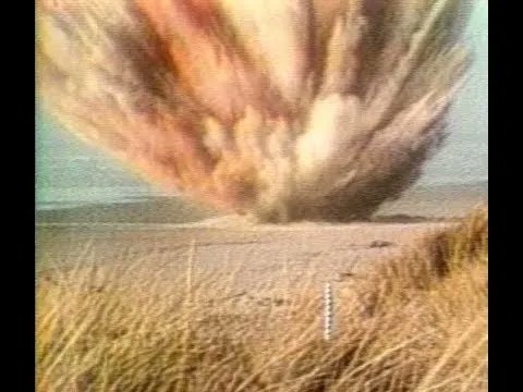 HetNatuurhist's tweet photo. Vandaag is het 'Exploding Whale Day' https://t.co/NcnCzeEwwO Wij hebben deze werkwijze niet gevolgd en ons potvisskelet met de hand van vlees, vet en ingewanden ontdaan #explodingwhaleday #cetacea #naturalhistory https://t.co/3yQGcNnxFV
