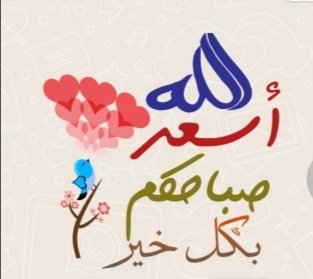 Wafaa41018575's tweet photo. @Abou_El_Majed https://t.co/po3FC1slks