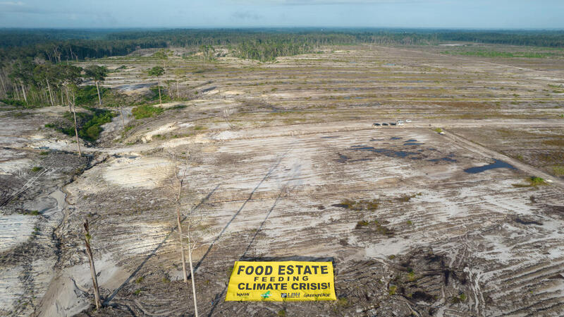 Kiki Taufik (@k1k1taufik) on Twitter photo Kira2 hutan alam yg luasnya 700an hektar yg sdh dibabat habis utk program Food Estate Kementrian Pertahanan ini, siapa yg akan melakukan restorasi & pemulihan? <a href="/jokowi/">Joko Widodo</a>
Smtr masyarakat di desa2 yg berada di hilir sejak area tsb dibuka mengalami kebanjiran yg berulang☹️ Kira2 hutan alam yg luasnya 700an hektar yg sdh dibabat habis utk program Food Estate Kementrian Pertahanan ini, siapa yg akan melakukan restorasi & pemulihan? <a href="/jokowi/">Joko Widodo</a>
Smtr masyarakat di desa2 yg berada di hilir sejak area tsb dibuka mengalami kebanjiran yg berulang☹️