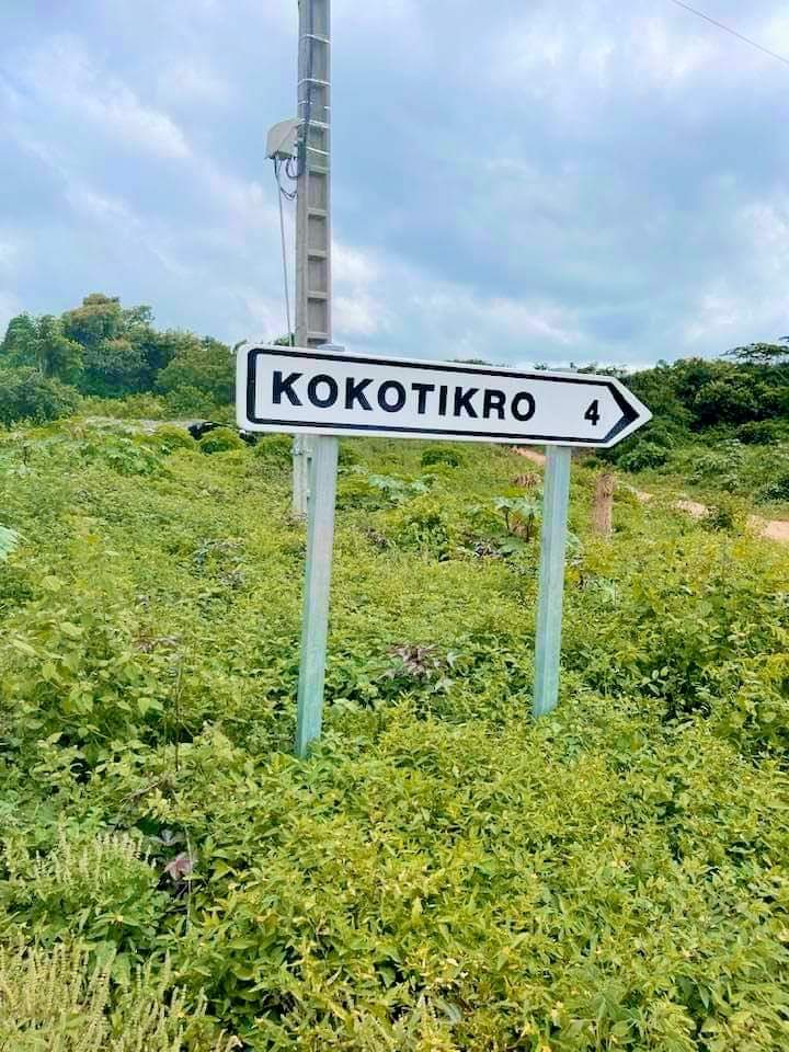 PHYTOPSP's tweet image. 