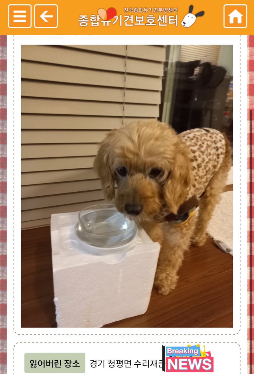 엄마가 올린 공고글 보고 눈물 터짐 ㅠㅠ 청평에 계신 분 있나요. 저는 내일 오후에야 가거든요 ㅠㅠ