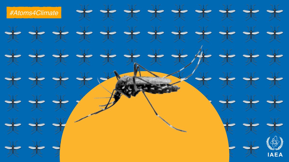 IAEA - International Atomic Energy Agency ⚛️ tweet media