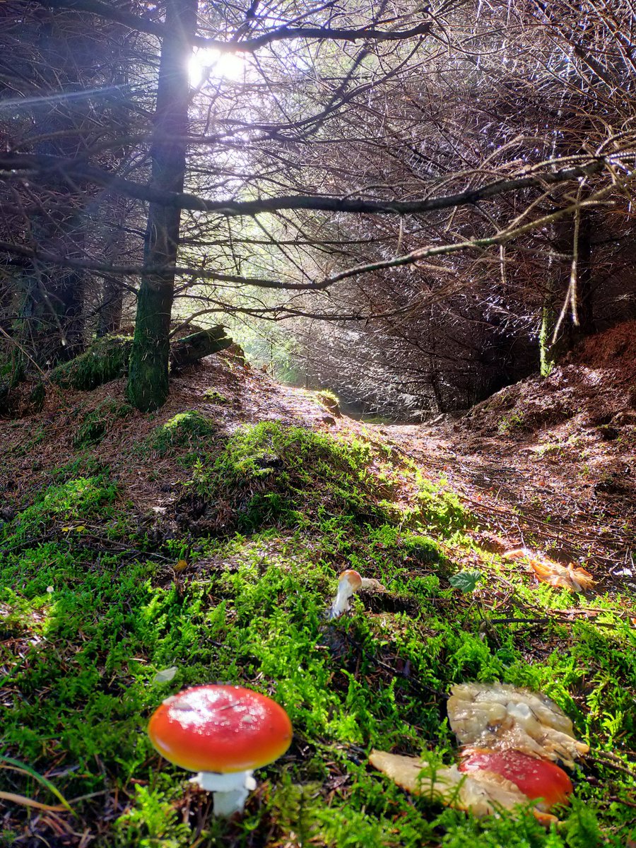 Andy Gibson tweet media