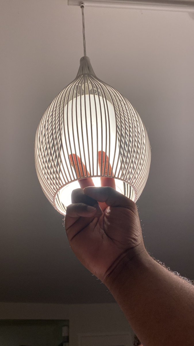 twostrokebloke's tweet photo. "If I was a moth, i'd be losing my shit right now." https://t.co/M8XfOq5NwH