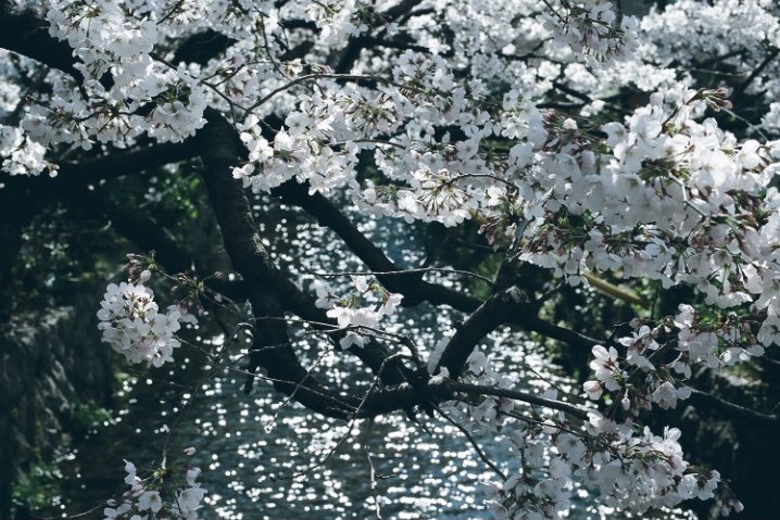 Zankyo06's tweet photo. https://t.co/t4u7HPnwS3